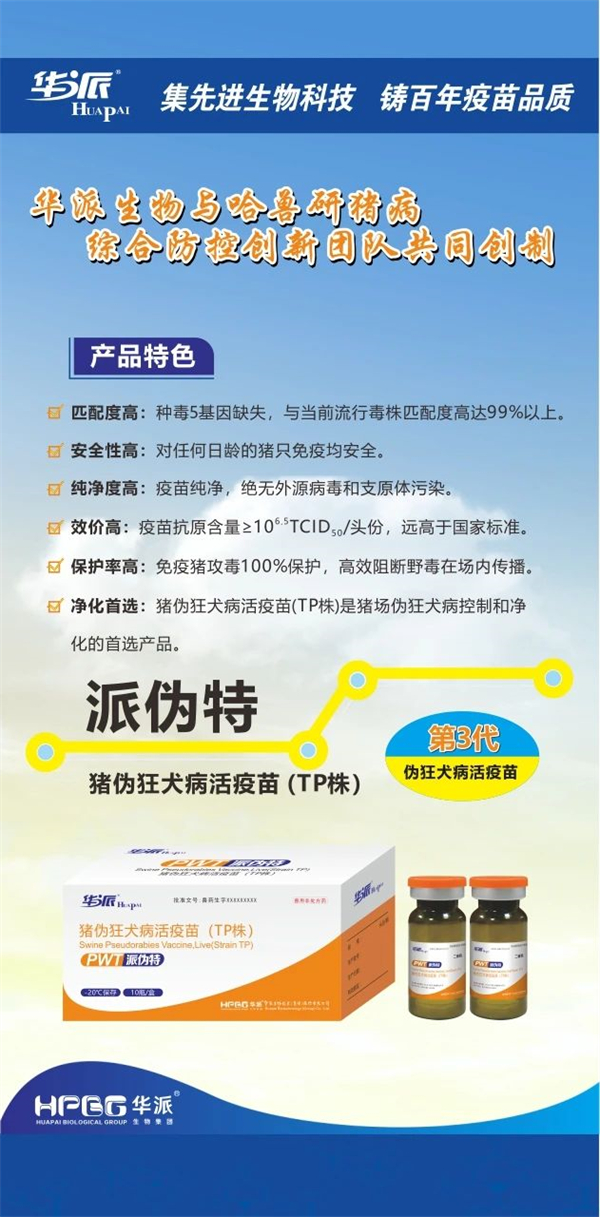 彩运网cy123猪网