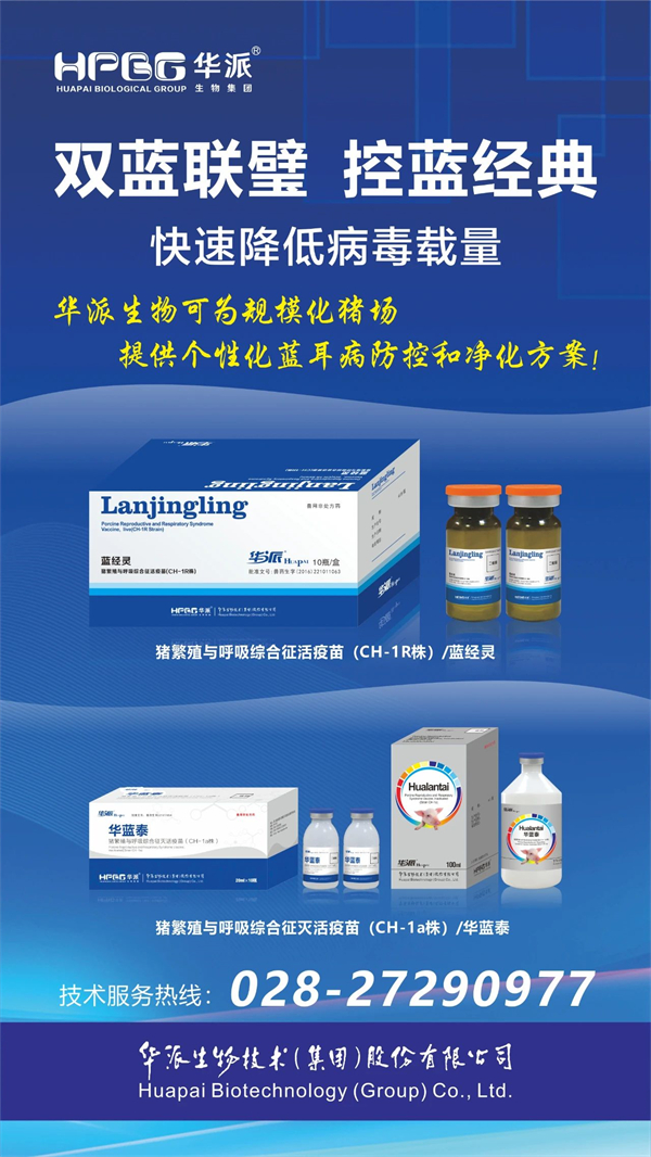 彩运网cy123猪网