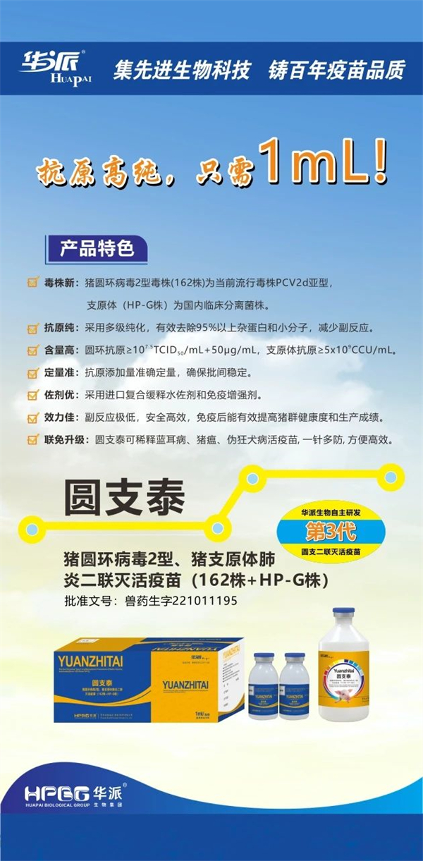 彩运网cy123猪网
