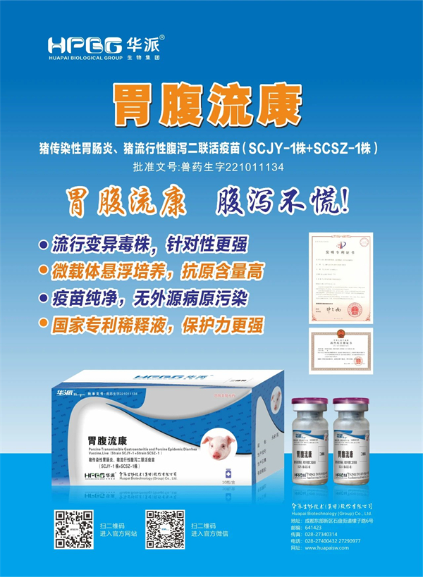 彩运网cy123猪网