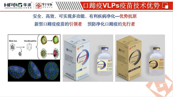 彩运网cy123猪网