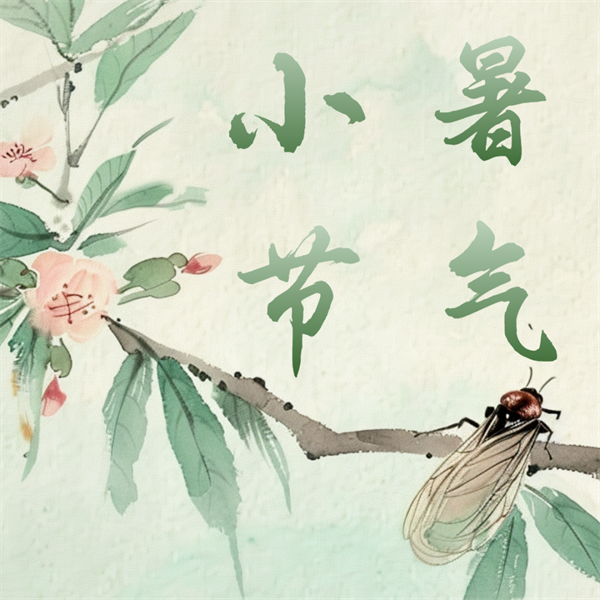 彩运网cy123生物分发系统