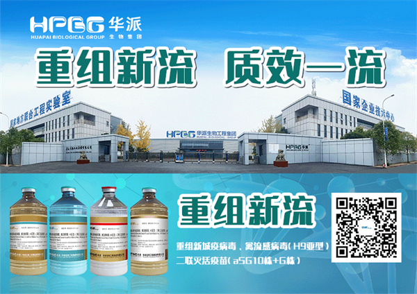 彩运网cy123生物分发系统