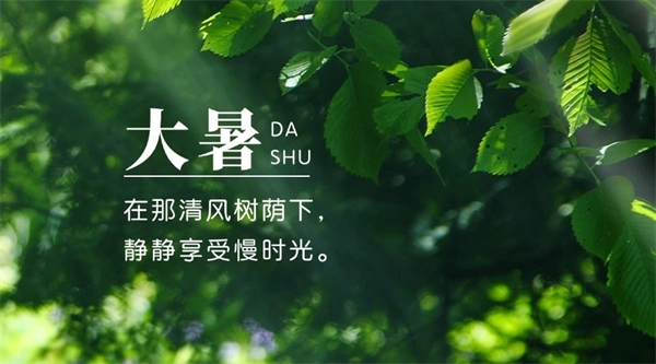 彩运网cy123生物分发系统