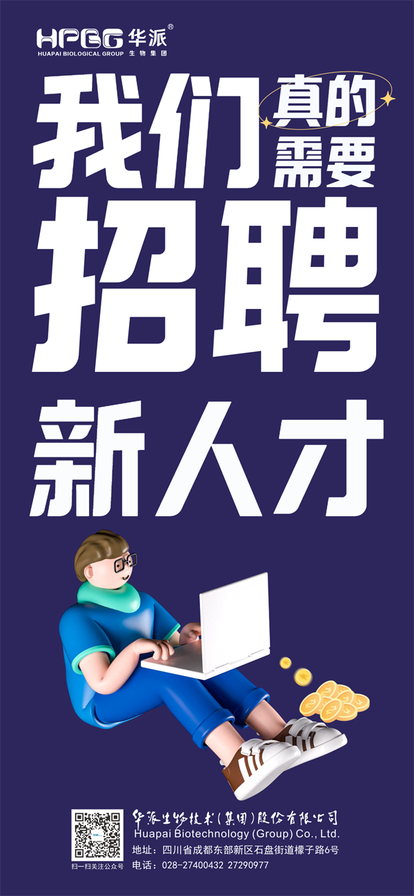 彩运网cy123猪网