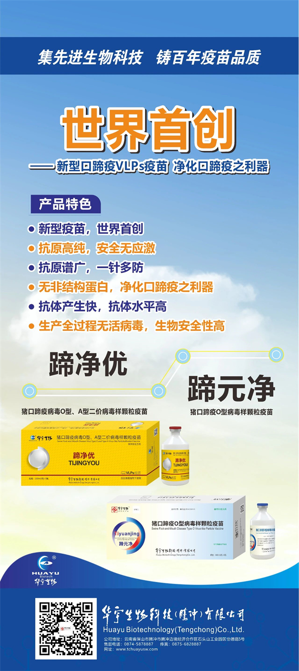 彩运网cy123猪网