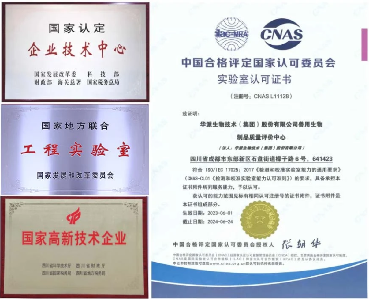 彩运网cy123生物分发系统