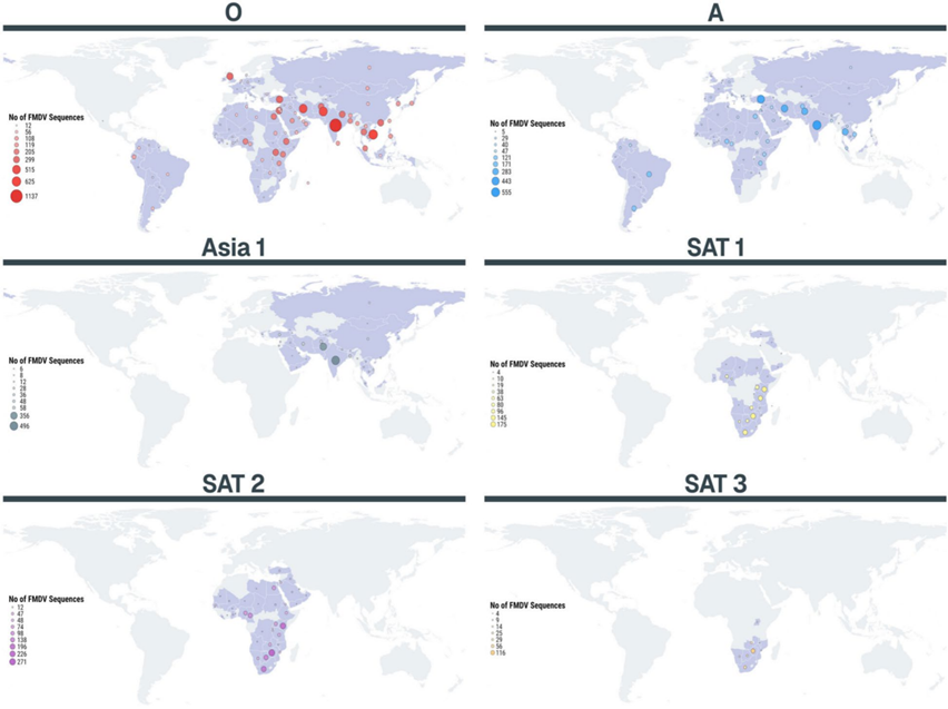 彩运网cy123生物