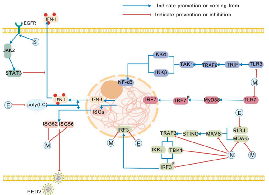 彩运网cy123生物